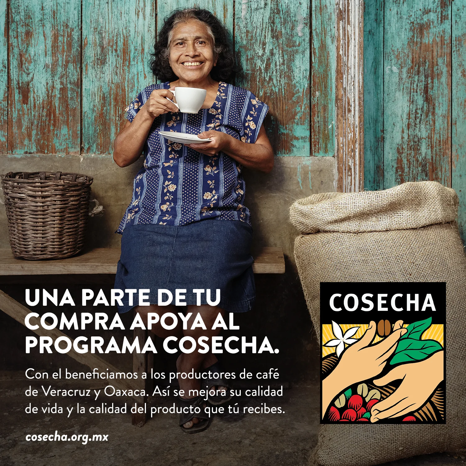 Café en grano tueste espresso, calidad Pluma Hidalgo Oaxaca - Image 4